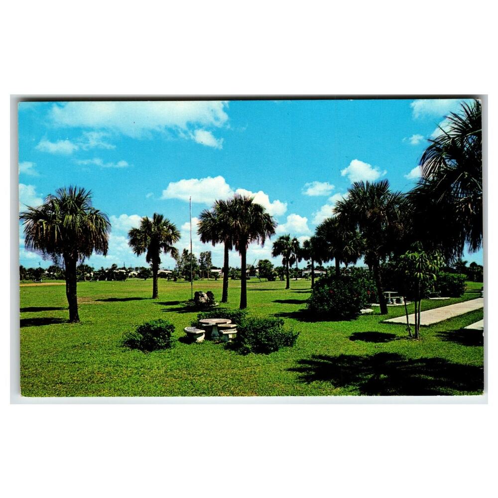 David Park Margate Florida Vintage Chrome Postcard Palm Trees Picnic Area